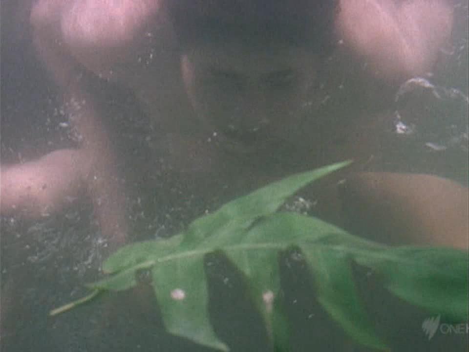 image 0 image 0