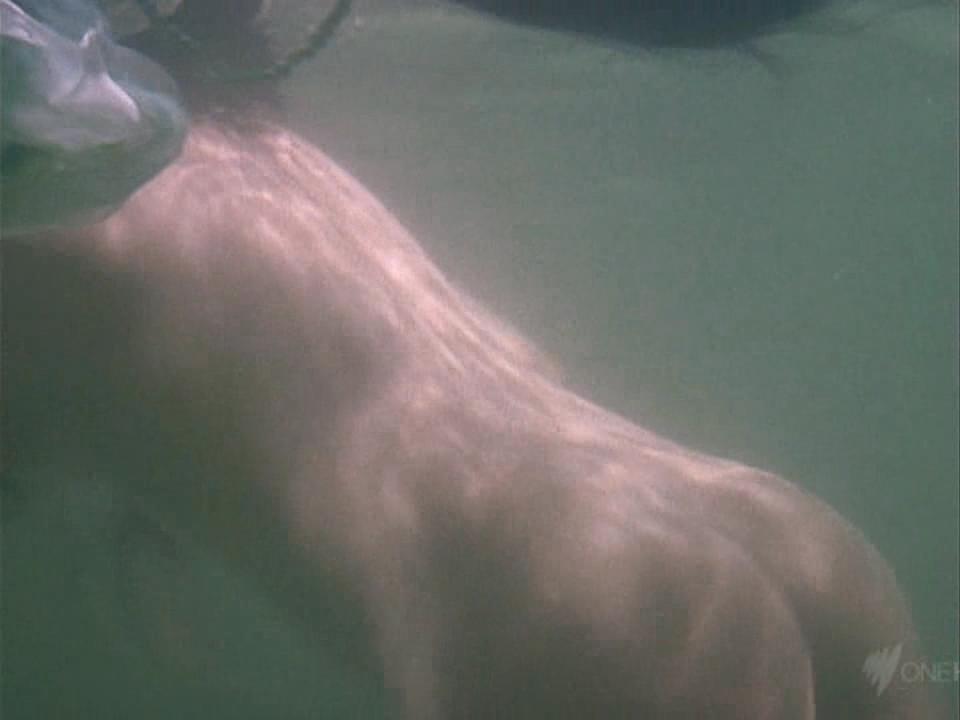 image 0 image 0