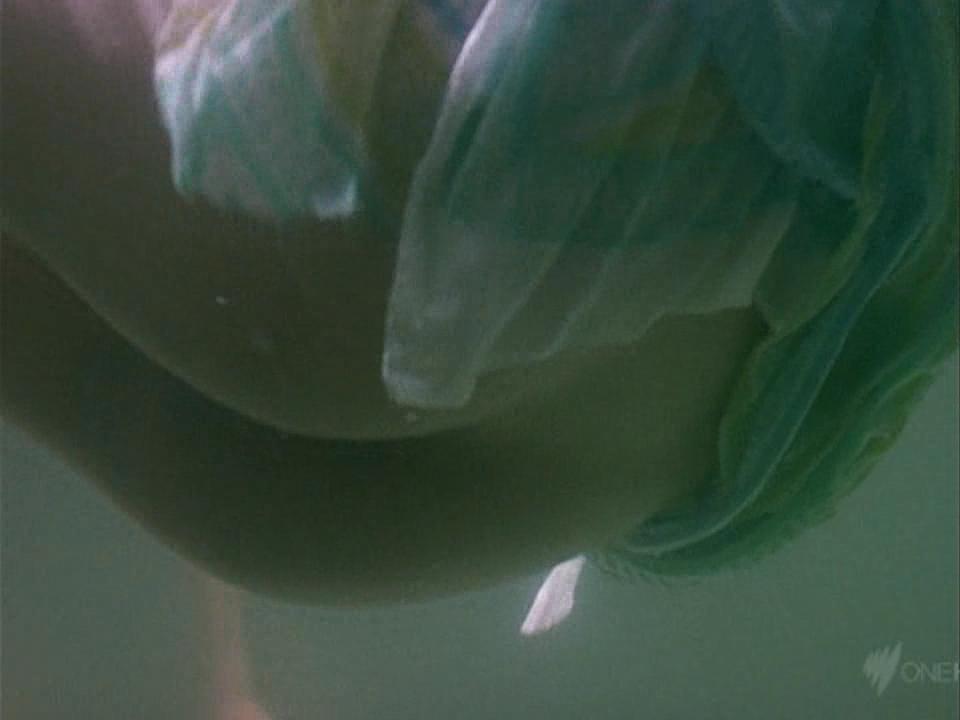 image 0 image 0