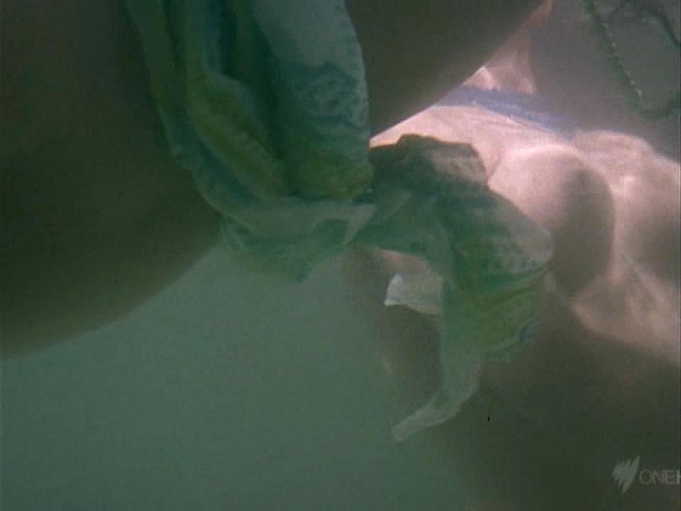 image 0 image 0