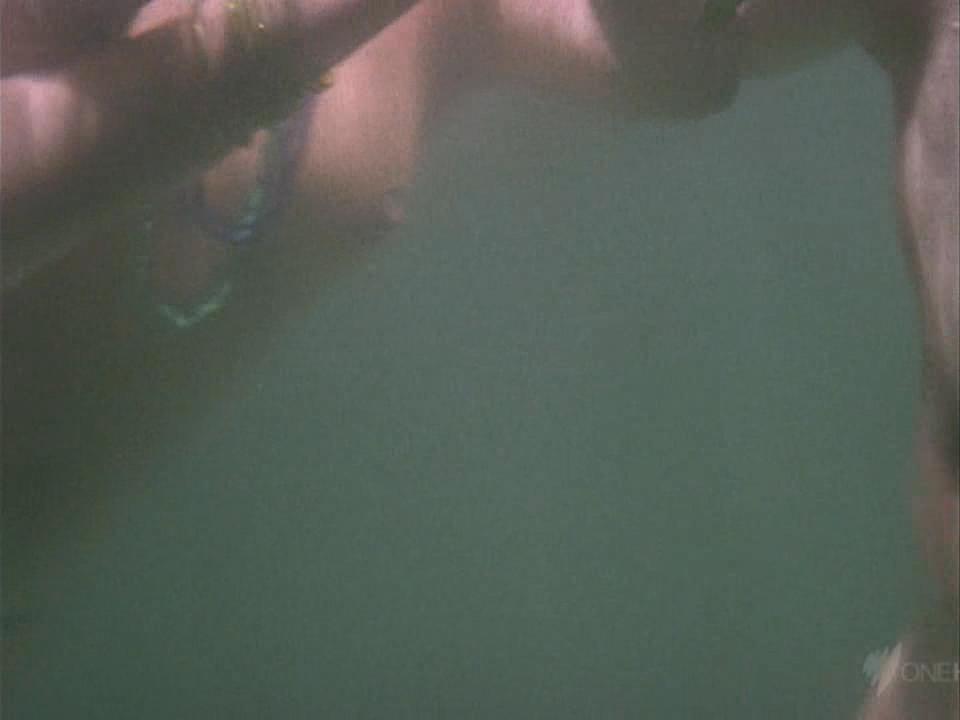 image 0 image 0
